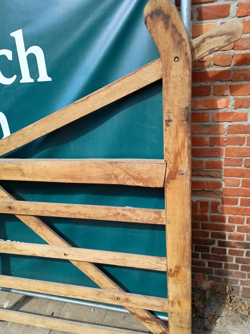 Afbeelding van WhatsApp op 2025 08 31 om 12