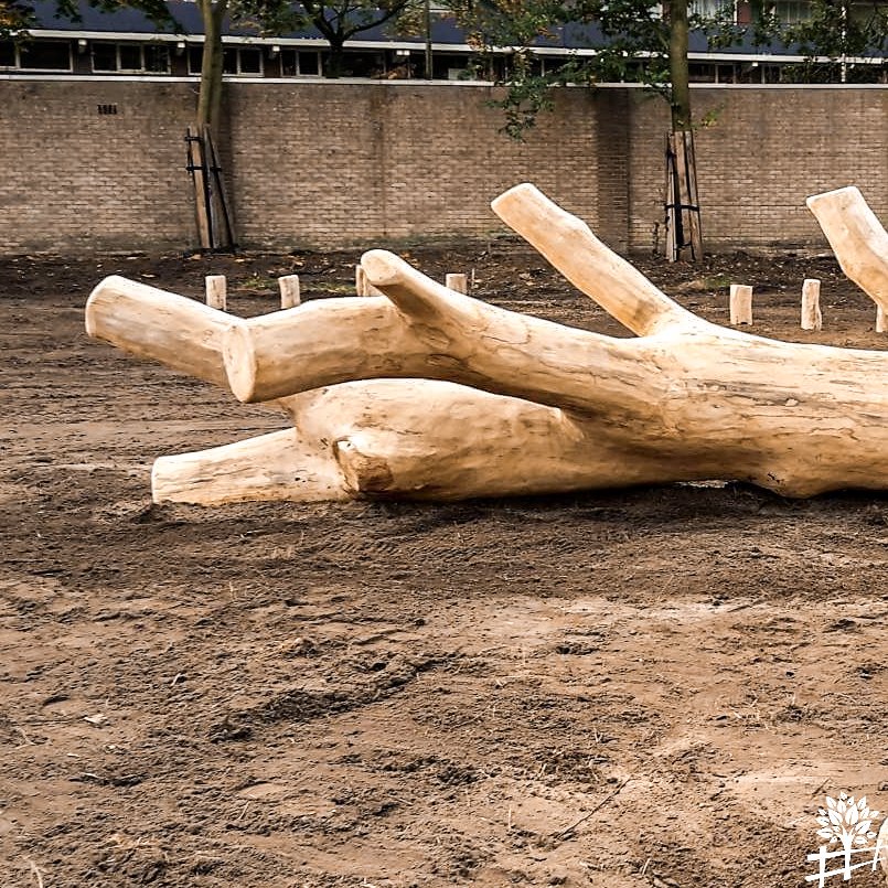 klimboom over gracht speelboom (002)