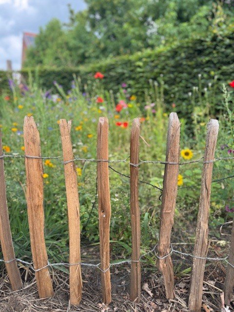 laag met bloemetjes