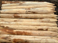 Pfähle 1