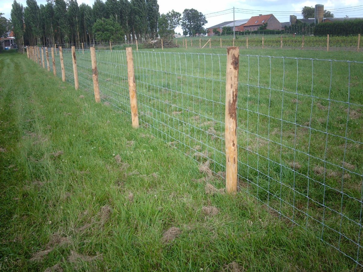 schapendraad ursusdraad draadgaas afsluiting weideomheining ursus 2959 cr