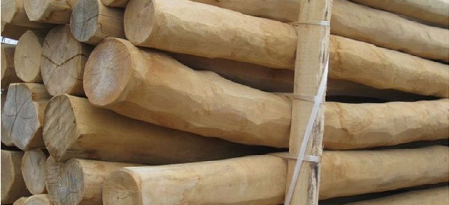 spintvrij hout 2 (2)